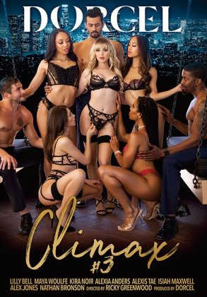 高潮 3 (2023) 啄木鸟 Climax 3