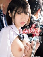 cawd-802 无码版 每天早上7点23分，后面第三辆车。迷倒我的变态的真面目是我的助理老师。桃濑阳み