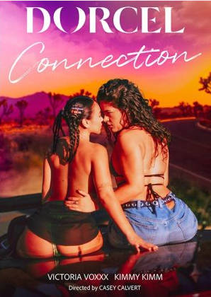联系 ？ Connection (2025)  啄木鸟