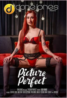 完美画面 ？ Picture Perfect (2025)